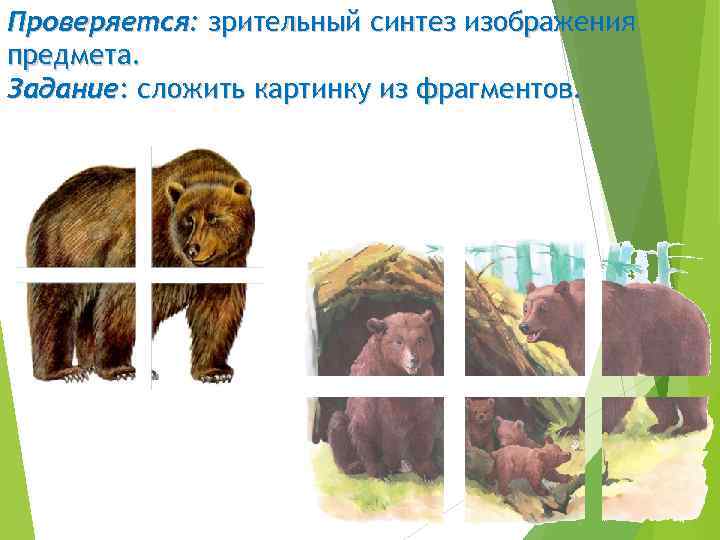 Проверяется: зрительный синтез изображения предмета. Задание: сложить картинку из фрагментов. 