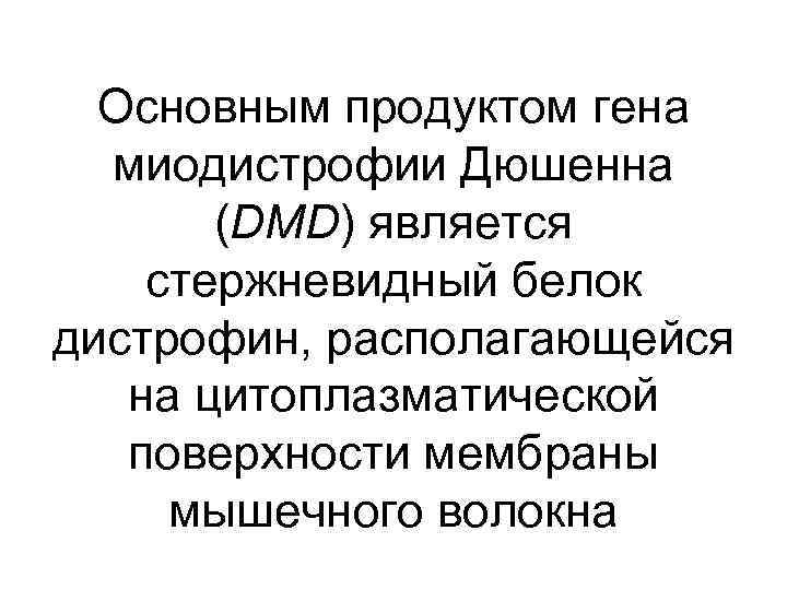 Основным продуктом гена миодистрофии Дюшенна (DMD) является стержневидный белок дистрофин, располагающейся на цитоплазматической поверхности