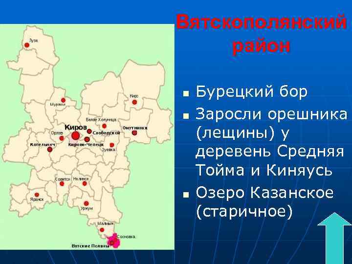 Вятскополянский район n n n Бурецкий бор Заросли орешника (лещины) у деревень Средняя Тойма