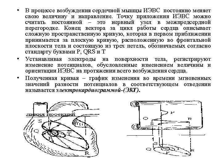  • В процессе возбуждения сердечной мышцы ИЭВС постоянно меняет свою величину и направление.