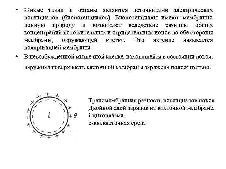 • Живые ткани и органы являются источниками электрических потенциалов (биопотенциалов). Биопотенциалы имеют мембранноионную