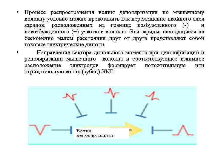 Распределение это процесс