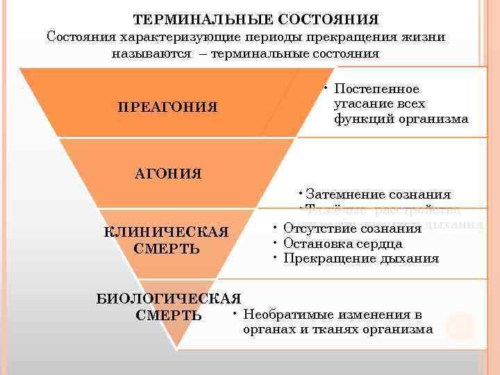 Период состояния. Периоды терминального состояния таблица. Терминальные состояния организма. Классификация терминального состояния характеризуется:. Название стадий терминального состояния.