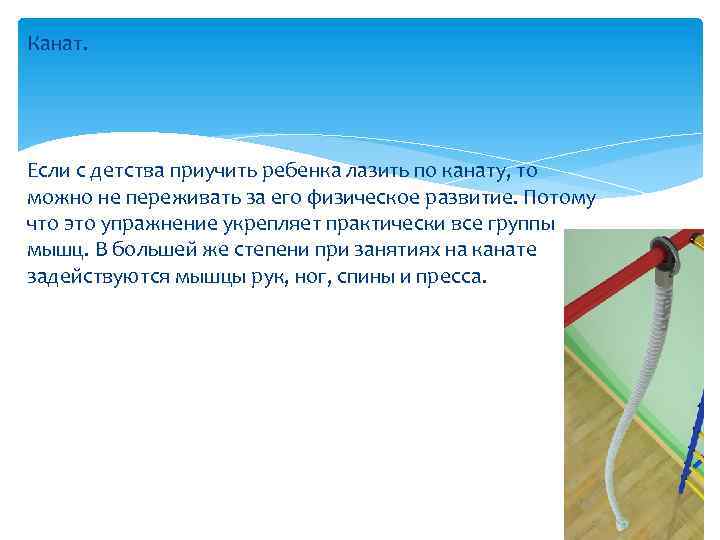 Канат. Если с детства приучить ребенка лазить по канату, то можно не переживать за