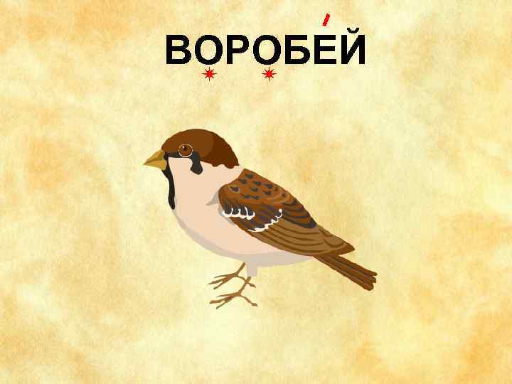 ВОРОБЕЙ 