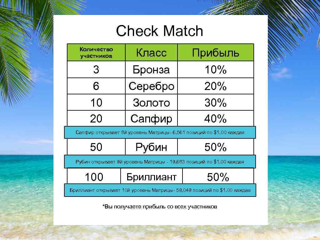 Check Match Количество участников Класс Прибыль 3 6 10 20 Бронза Серебро Золото Сапфир