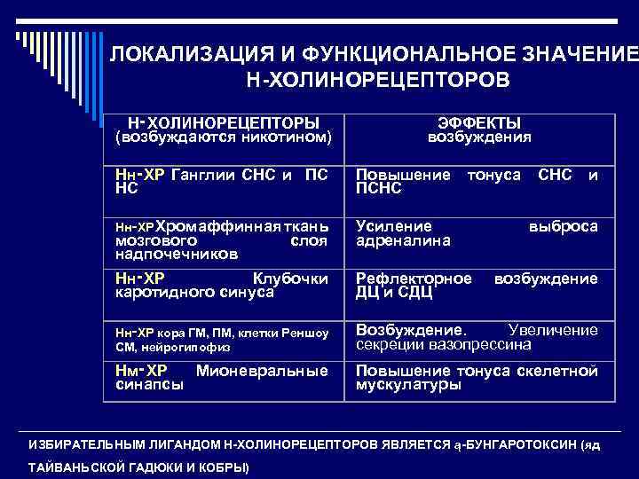 ЛОКАЛИЗАЦИЯ И ФУНКЦИОНАЛЬНОЕ ЗНАЧЕНИЕ Н-ХОЛИНОРЕЦЕПТОРОВ Н‑ХОЛИНОРЕЦЕПТОРЫ (возбуждаются никотином) ЭФФЕКТЫ возбуждения Нн‑ХР Ганглии СНС и