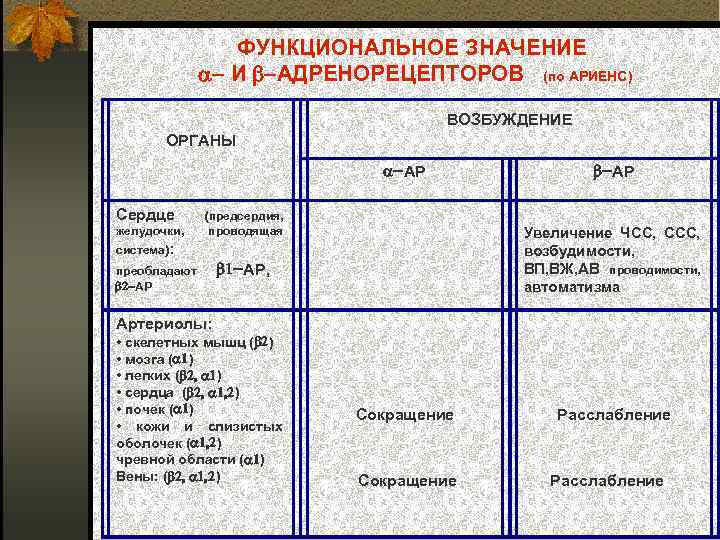 ФУНКЦИОНАЛЬНОЕ ЗНАЧЕНИЕ И АДРЕНОРЕЦЕПТОРОВ (по АРИЕНС) ВОЗБУЖДЕНИЕ ОРГАНЫ АР Сердце желудочки, (предсердия, проводящая АР