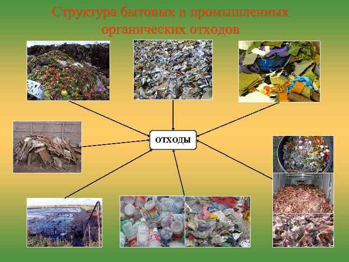 Структура бытовых и промышленных органических отходов ОТХОДЫ 