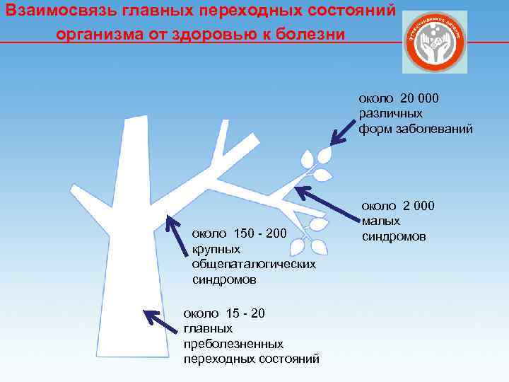 Взаимосвязь главных переходных состояний организма от здоровью к болезни около 20 000 различных форм