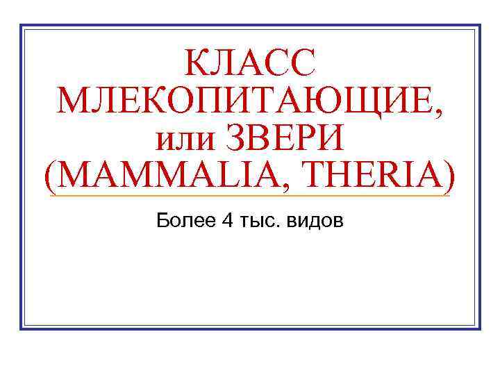 КЛАСС МЛЕКОПИТАЮЩИЕ, или ЗВЕРИ (MAMMALIA, THERIA) Более 4 тыс. видов 