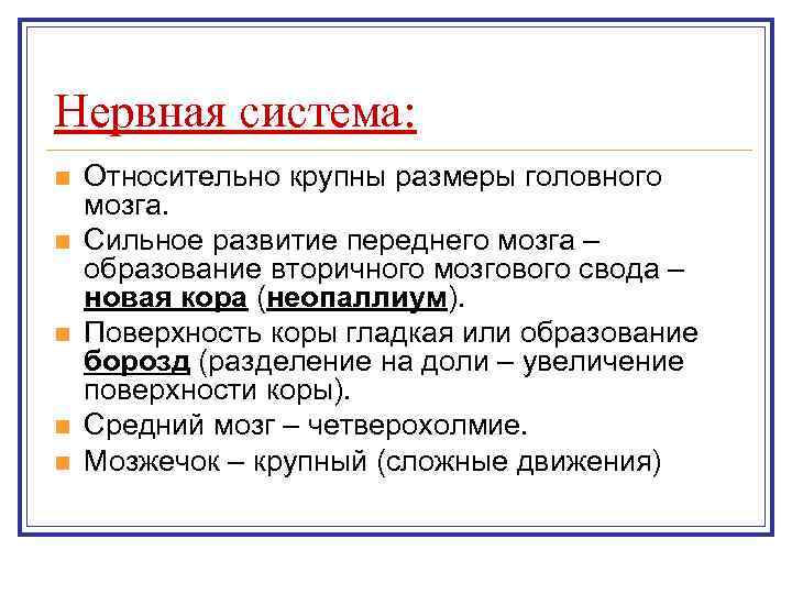 Нервная система: n n n Относительно крупны размеры головного мозга. Сильное развитие переднего мозга