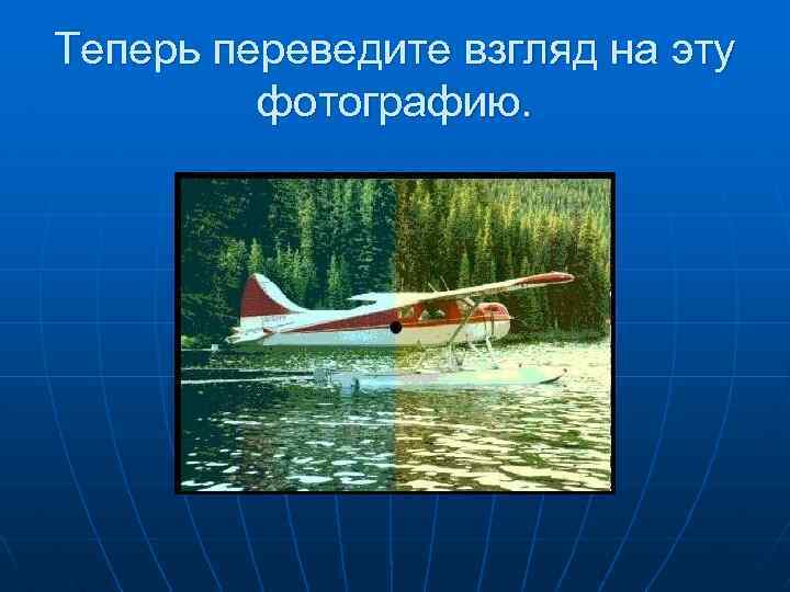 Теперь переведите взгляд на эту фотографию. 