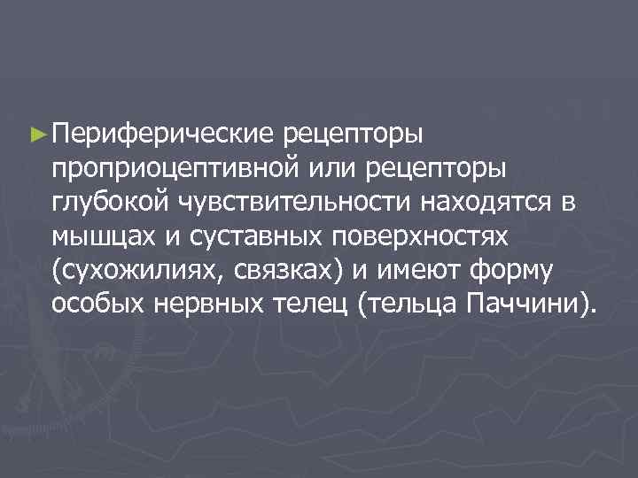 ► Периферические рецепторы проприоцептивной или рецепторы глубокой чувствительности находятся в мышцах и суставных поверхностях