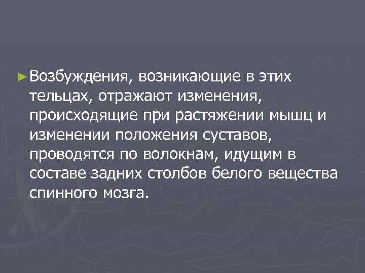 ► Возбуждения, возникающие в этих тельцах, отражают изменения, происходящие при растяжении мышц и изменении