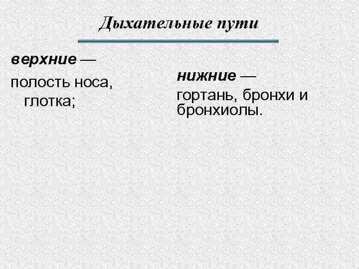 Дыхательные пути верхние — полость носа, глотка; нижние — гортань, бронхи и бронхиолы. 