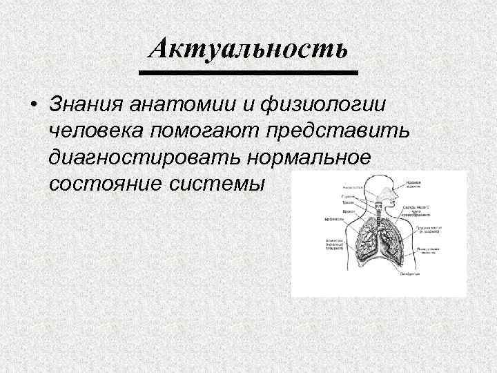 Актуальность • Знания анатомии и физиологии человека помогают представить диагностировать нормальное состояние системы 