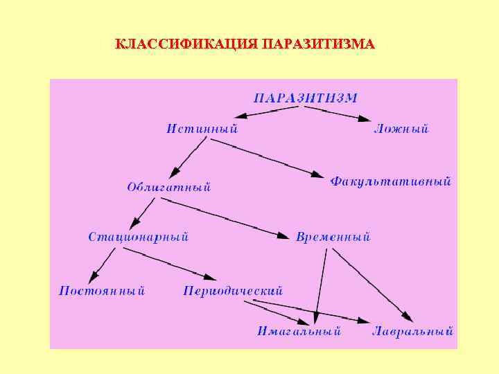 КЛАССИФИКАЦИЯ ПАРАЗИТИЗМА 