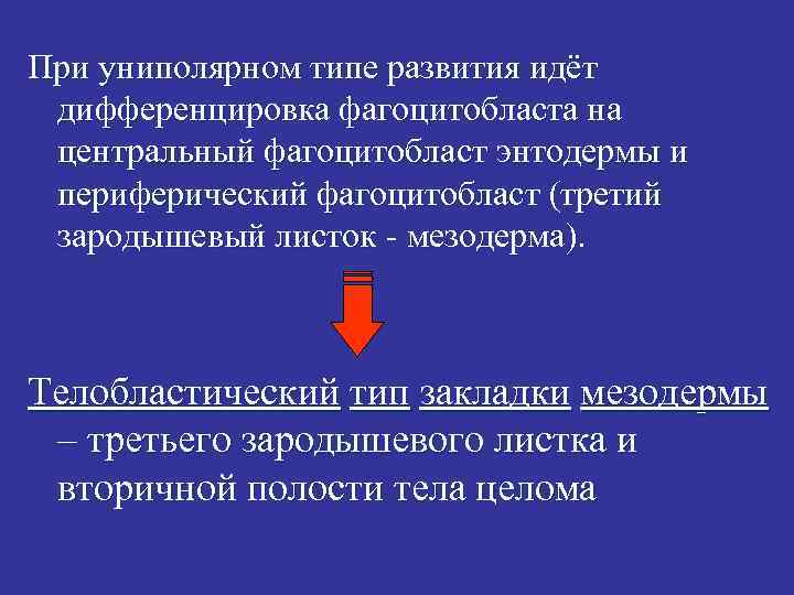 При униполярном типе развития идёт дифференцировка фагоцитобласта на центральный фагоцитобласт энтодермы и периферический фагоцитобласт