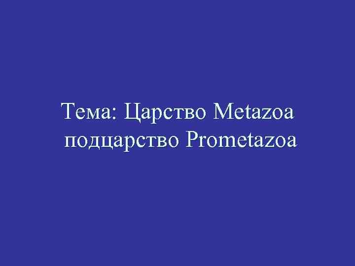Тема: Царство Metazoa подцарство Prometazoa 