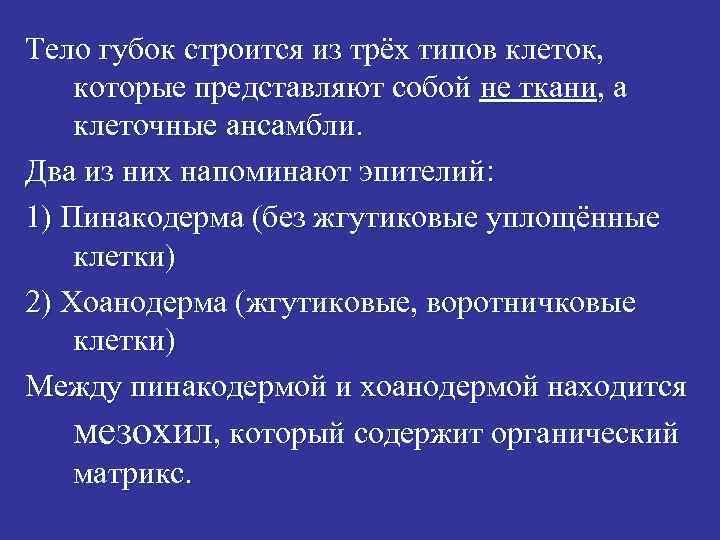 Тело губок строится из трёх типов клеток, которые представляют собой не ткани, а клеточные