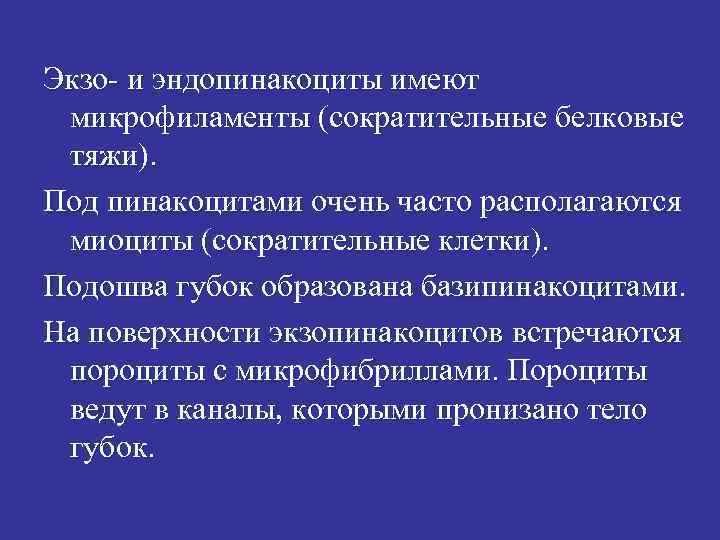 Экзо- и эндопинакоциты имеют микрофиламенты (сократительные белковые тяжи). Под пинакоцитами очень часто располагаются миоциты