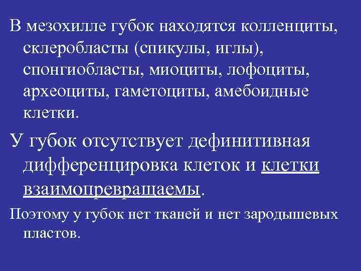 В мезохилле губок находятся колленциты, склеробласты (спикулы, иглы), спонгиобласты, миоциты, лофоциты, археоциты, гаметоциты, амебоидные
