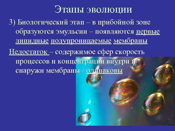 Этапы эволюции 3) Биологический этап – в прибойной зоне образуются эмульсии – появляются первые