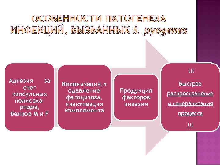 !!! Адгезия за счет капсульных полисахаридов, белков М и F Колонизация, п одавление фагоцитоза,