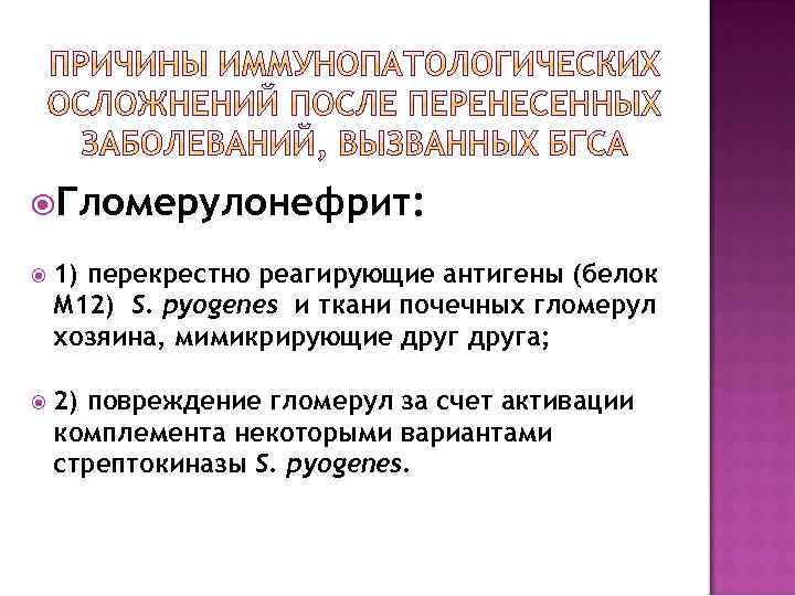  Гломерулонефрит: 1) перекрестно реагирующие антигены (белок М 12) S. pyogenes и ткани почечных