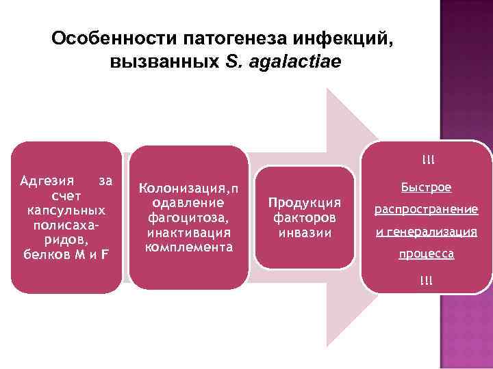 Особенности патогенеза инфекций, вызванных S. agalactiae !!! Адгезия за счет капсульных полисахаридов, белков М