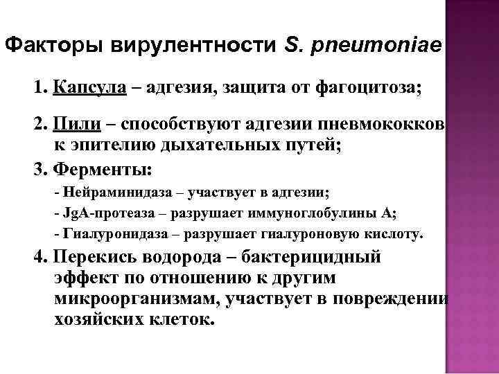 Факторы вирулентности S. pneumoniae 1. Капсула – адгезия, защита от фагоцитоза; 2. Пили –