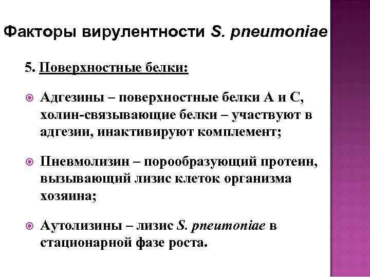 Факторы вирулентности S. pneumoniae 5. Поверхностные белки: Адгезины – поверхностные белки А и С,