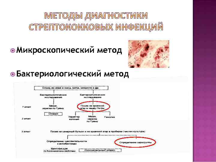  Микроскопический метод Бактериологический Идентификация по биохимическим свойствам метод 