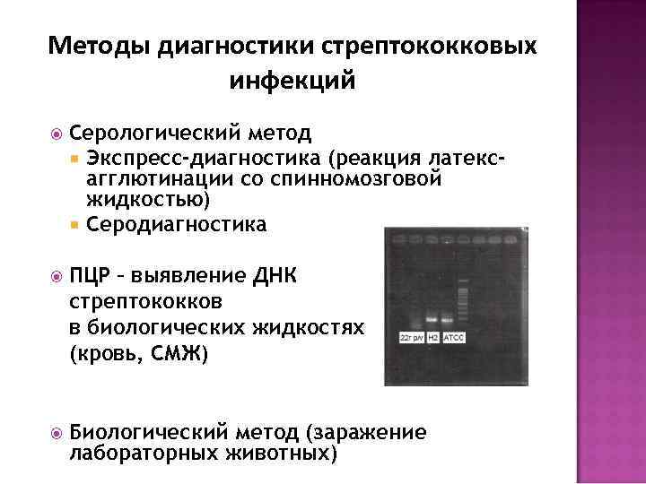 Методы диагностики стрептококковых инфекций Серологический метод Экспресс-диагностика (реакция латексагглютинации со спинномозговой жидкостью) Серодиагностика ПЦР