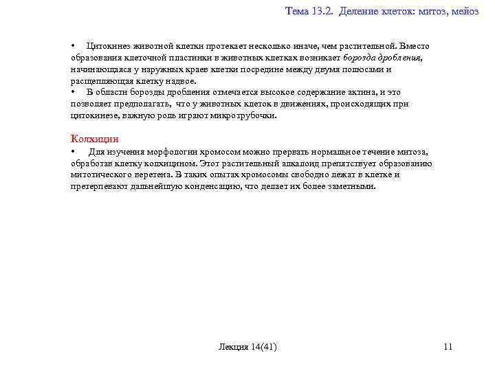  Тема 13. 2. Деление клеток: митоз, мейоз • Цитокинез животной клетки протекает несколько