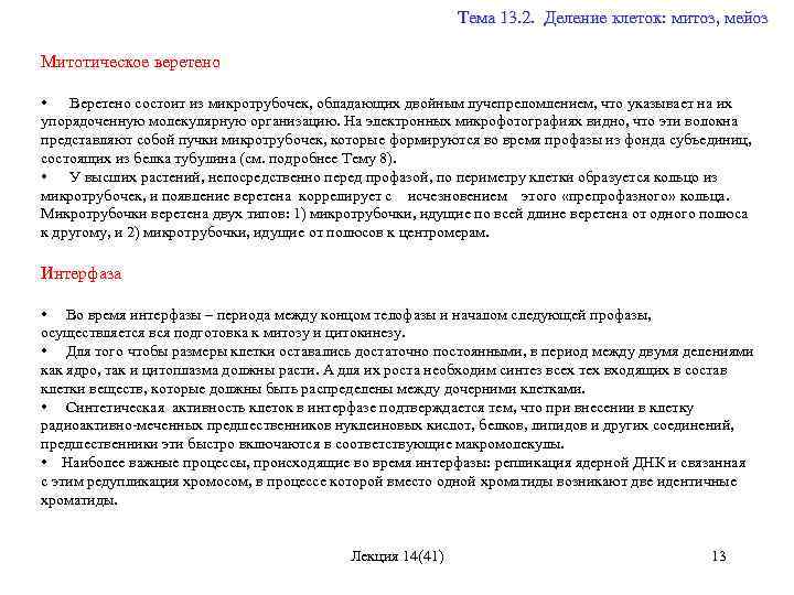  Тема 13. 2. Деление клеток: митоз, мейоз Митотическое веретено • Веретено состоит из