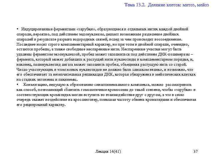  Тема 13. 2. Деление клеток: митоз, мейоз • Индуцированные ферментами «зарубки» , образующиеся