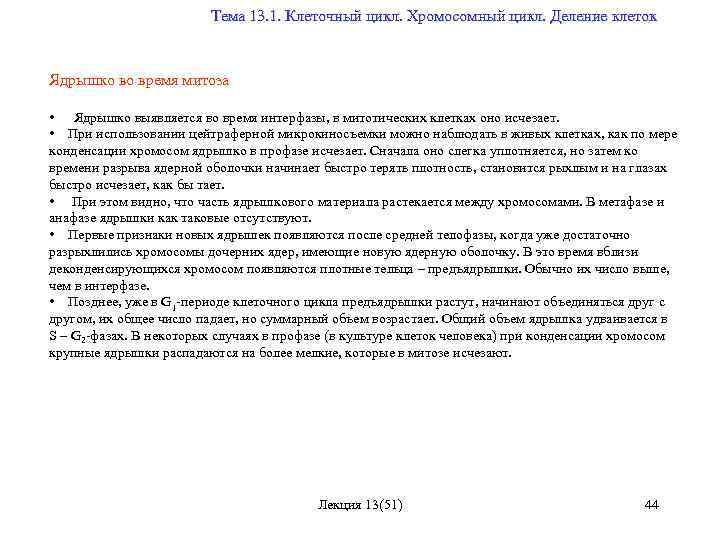  Тема 13. 1. Клеточный цикл. Хромосомный цикл. Деление клеток Ядрышко во время митоза