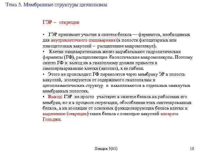 Тема 5. Мембранные структуры цитоплазмы ГЭР – секреция • ГЭР принимает участие в синтезе