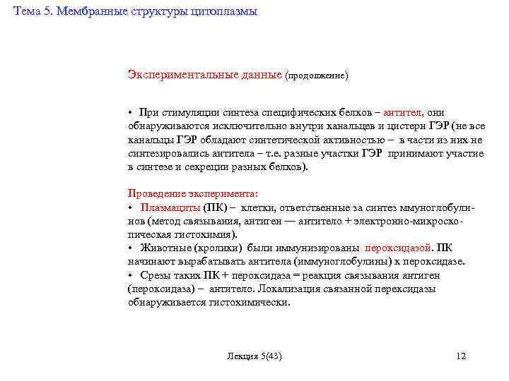 Тема 5. Мембранные структуры цитоплазмы Экспериментальные данные (продолжение) • При стимуляции синтеза специфических белков