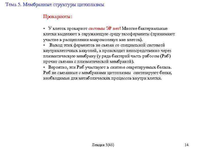 Тема 5. Мембранные структуры цитоплазмы Прокариоты: • У клеток прокариот системы ЭР нет! Многие