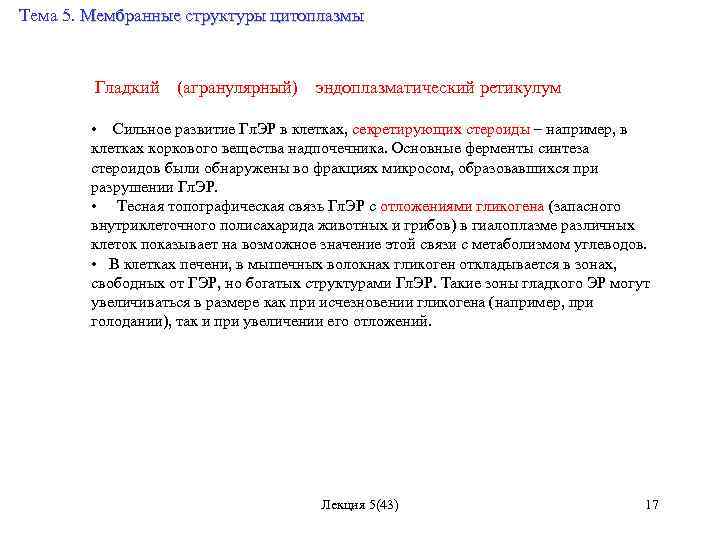 Тема 5. Мембранные структуры цитоплазмы Гладкий (агранулярный) эндоплазматический ретикулум • Сильное развитие Гл. ЭР