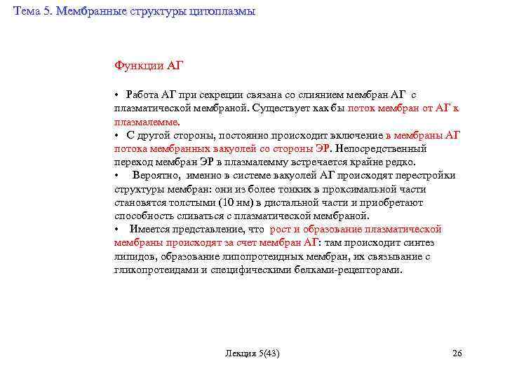 Тема 5. Мембранные структуры цитоплазмы Функции АГ • Работа АГ при секреции связана со