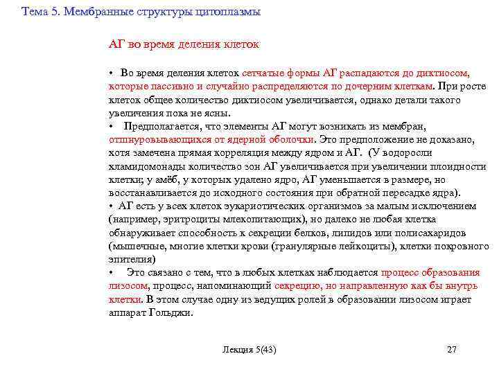 Тема 5. Мембранные структуры цитоплазмы АГ во время деления клеток • Во время деления