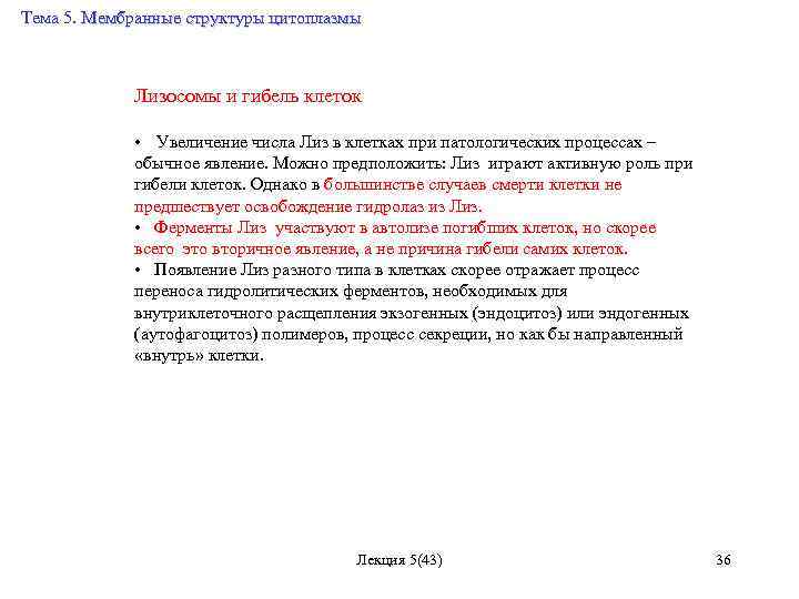 Тема 5. Мембранные структуры цитоплазмы Лизосомы и гибель клеток • Увеличение числа Лиз в