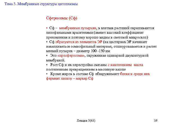 Тема 5. Мембранные структуры цитоплазмы Сферосомы (Cф) • Cф – мембранные пузырьки, в клетках