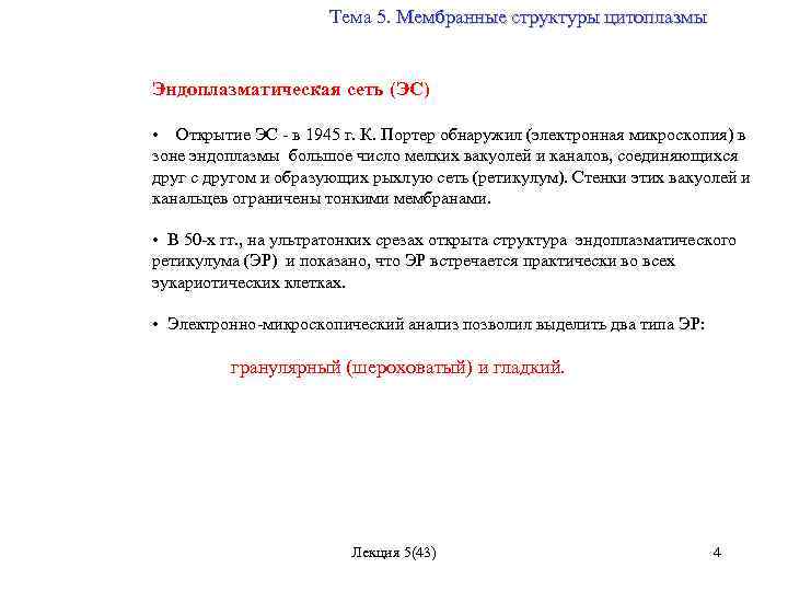 Тема 5. Мембранные структуры цитоплазмы Эндоплазматическая сеть (ЭС) • Открытие ЭС - в 1945