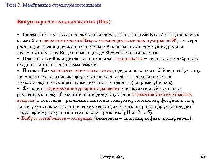 Тема 5. Мембранные структуры цитоплазмы Вакуоли растительных клеток (Вак) • Клетки низших и высших