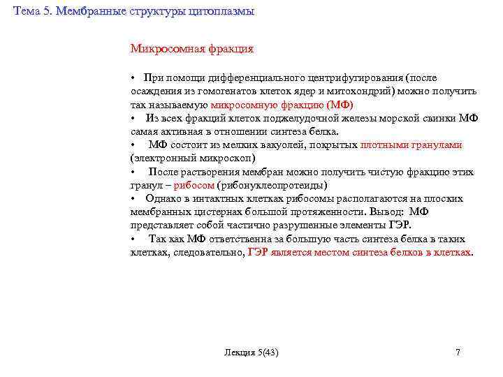 Тема 5. Мембранные структуры цитоплазмы Микросомная фракция • При помощи дифференциального центрифугирования (после осаждения